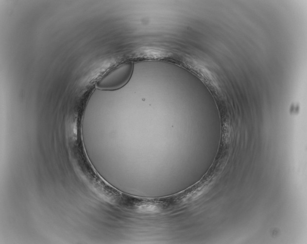X0000093610358200710291210