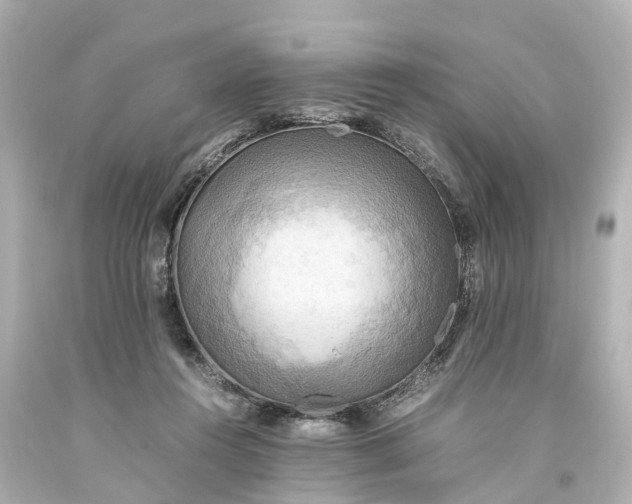 X0000093610360200710291210