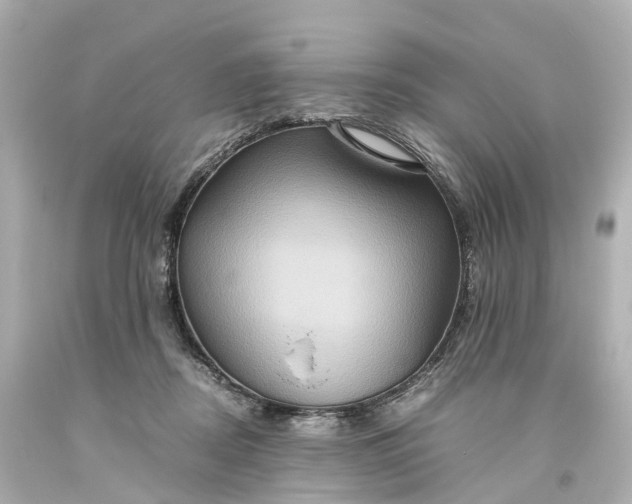 X0000093610362200710291210