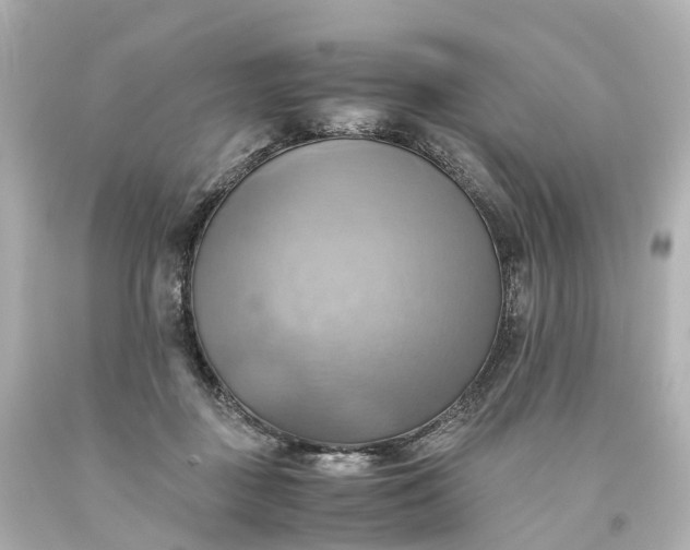 X0000093610363200710291210