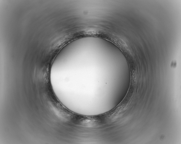X0000093610364200710291210