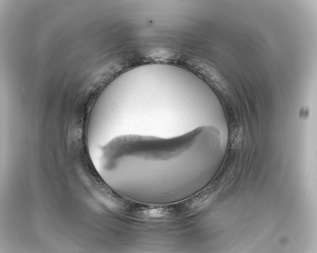 X0000093610365200710291210