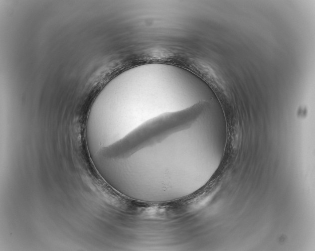 X0000093610366200710291210