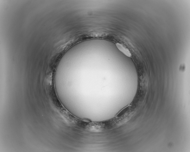 X0000093610368200710291210