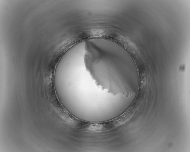 X0000093610369200710291210