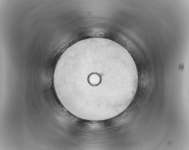 X0000093610370200710291210