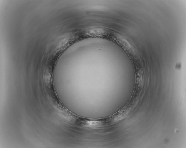 X0000093610371200710291210