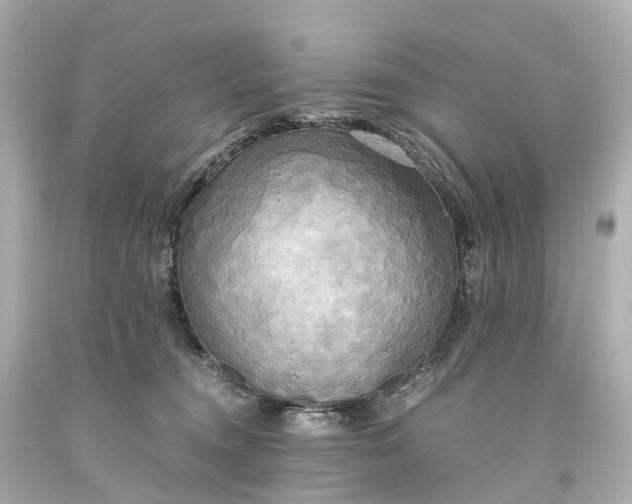 X0000093610372200710291210