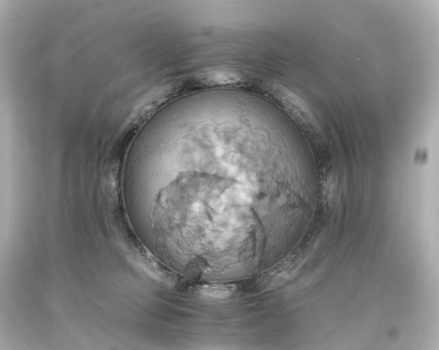 X0000093610373200710291210