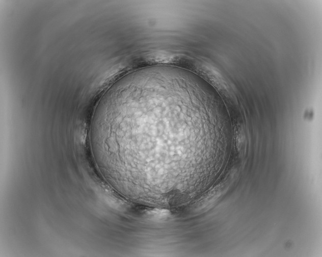 X0000093610374200710291210