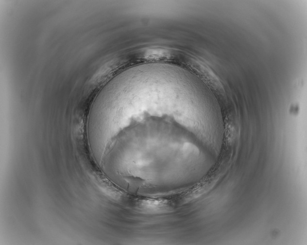 X0000093610375200710291210