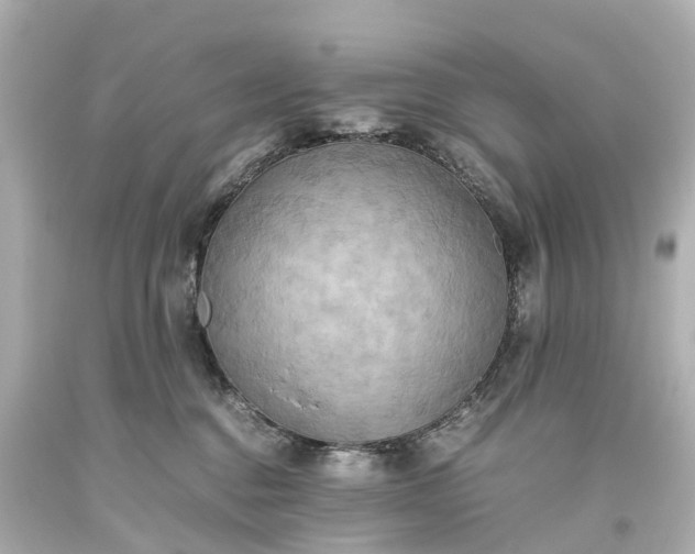 X0000093610376200710291210