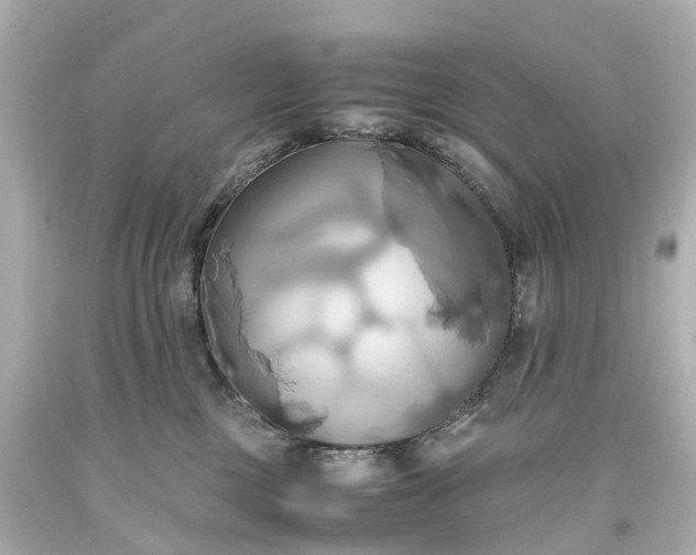 X0000093610377200710291211