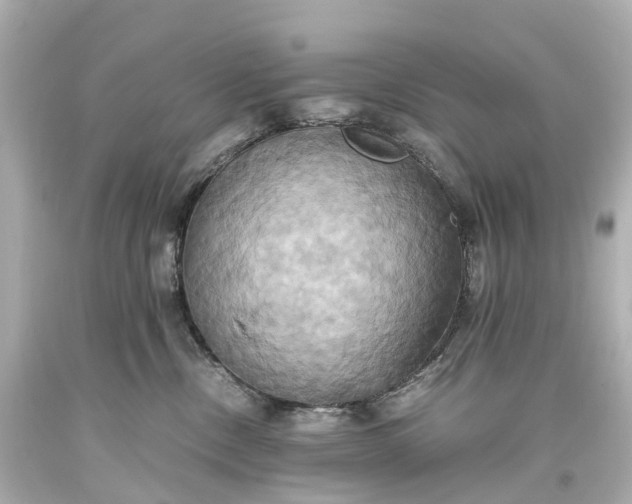 X0000093610378200710291211