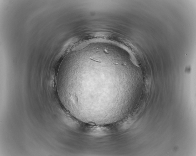 X0000093610379200710291211