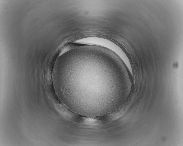 X0000093610380200710291211