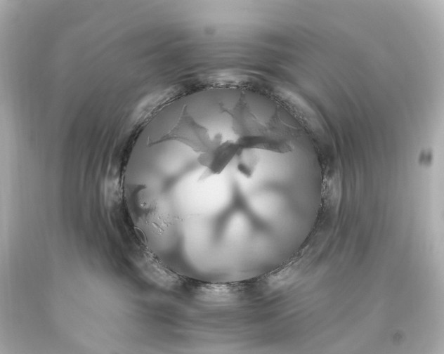 X0000093610381200710291211
