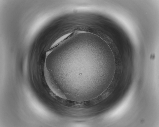 X0000093610382200710291211