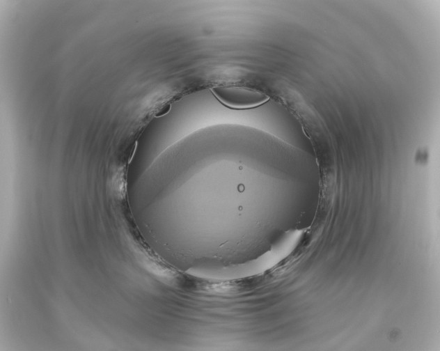 X0000093610383200710291211