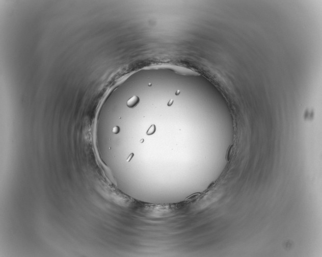 X0000093610384200710291211
