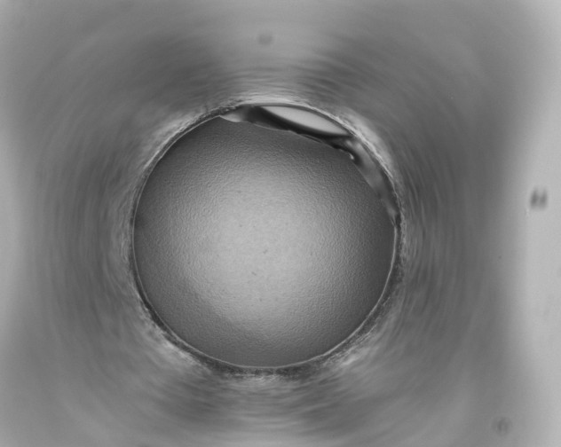 X0000093610385200710291210