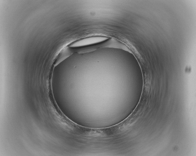 X0000093610386200710291210