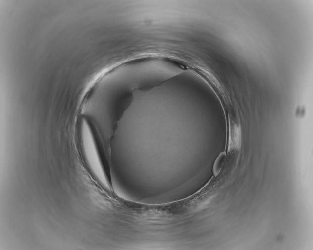 X0000093610387200710291210