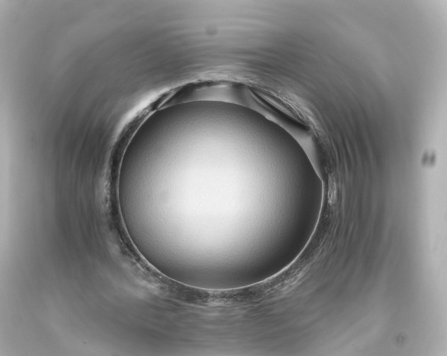 X0000093610388200710291210