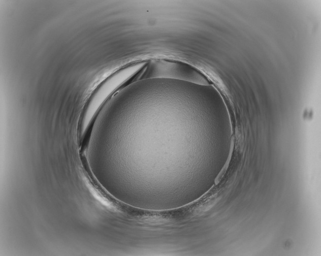 X0000093610389200710291210