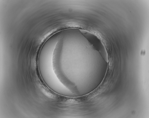 X0000093610390200710291210