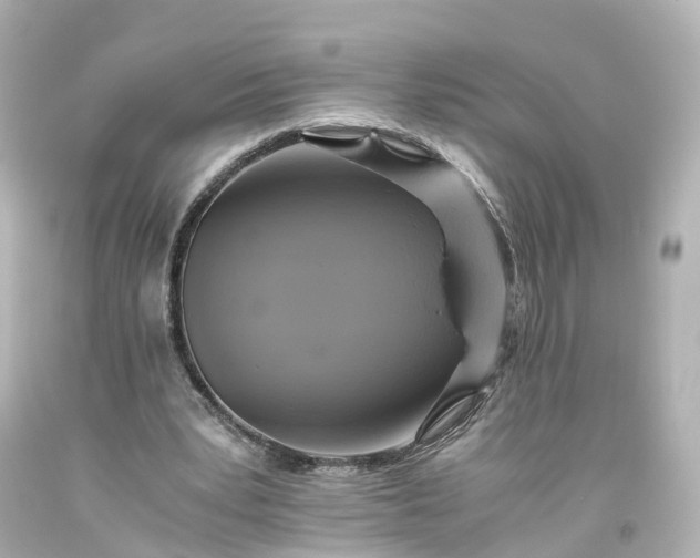 X0000093610391200710291210