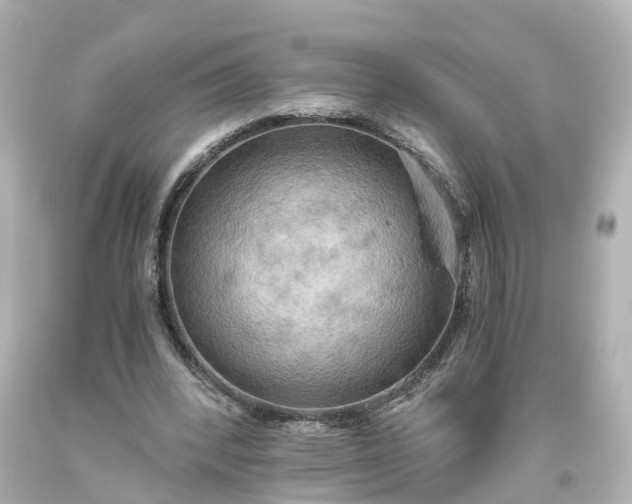 X0000093610392200710291210
