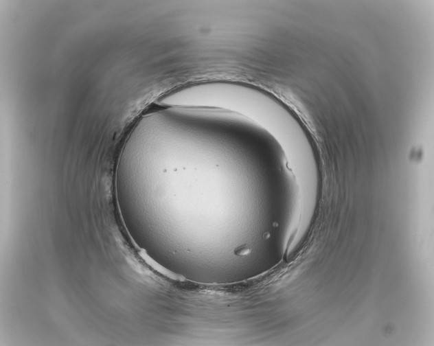 X0000093610393200710291210