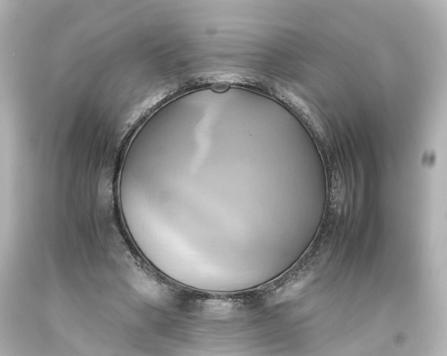 X0000093610394200710291210
