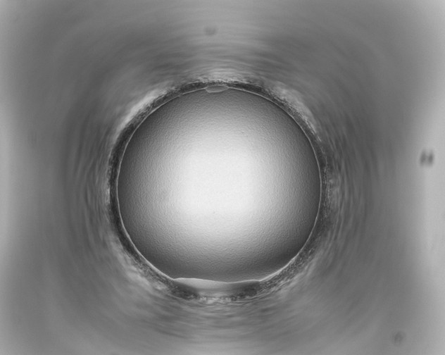 X0000093610395200710291210