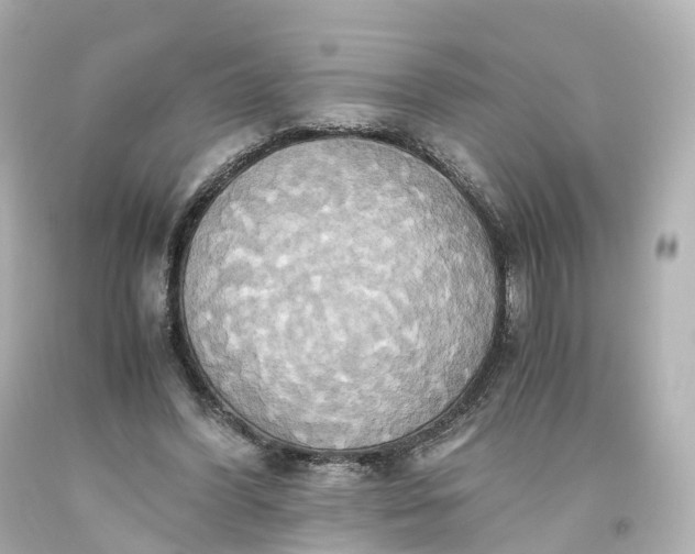 X0000093610396200710291210