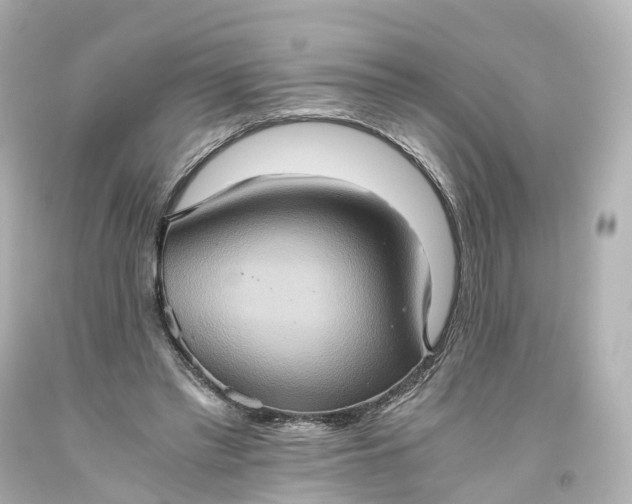 X0000093610397200710291210