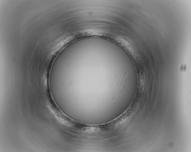 X0000093610398200710291210