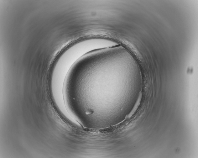 X0000093610399200710291210