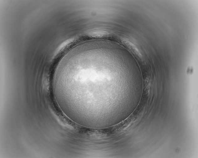 X0000093610400200710291210