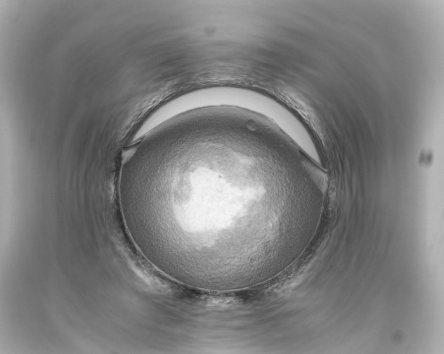 X0000093610401200710291210