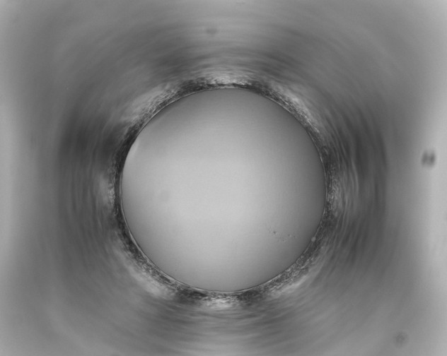 X0000093610402200710291210