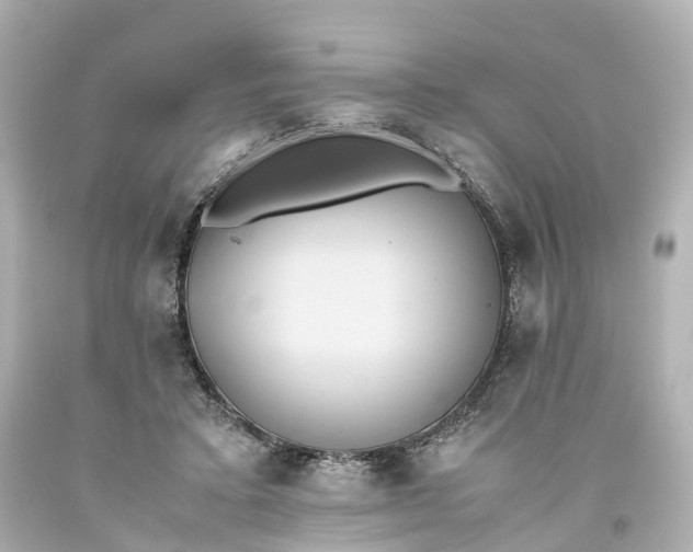 X0000093610403200710291210