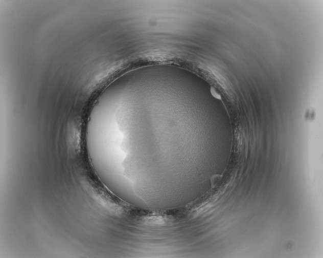 X0000093610404200710291210