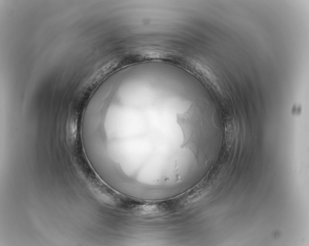 X0000093610406200710291210