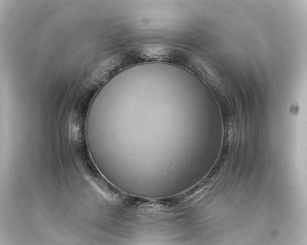 X0000093610408200710291210