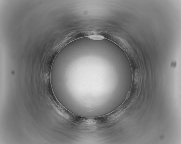 X0000093610409200710291210