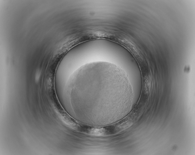 X0000093610410200710291210