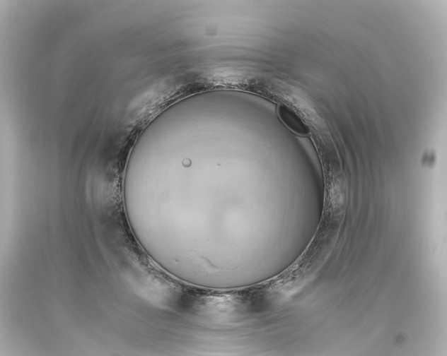 X0000093610411200710291210