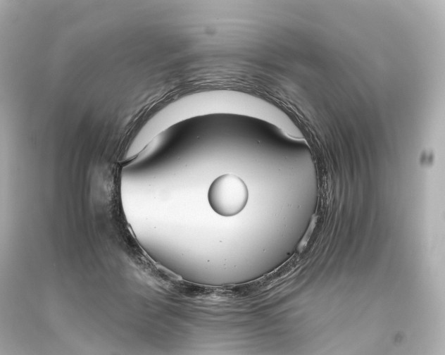 X0000093610412200710291210